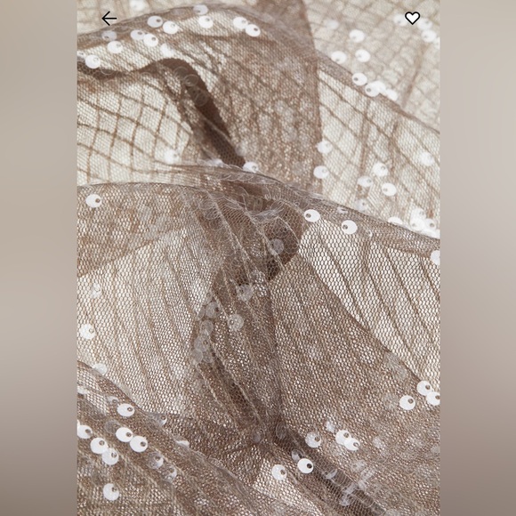 H&M Women’s sequin Beige Mesh dress Brand new Sz Large - Picture 2 of 15
